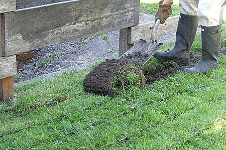 Ground Clearing